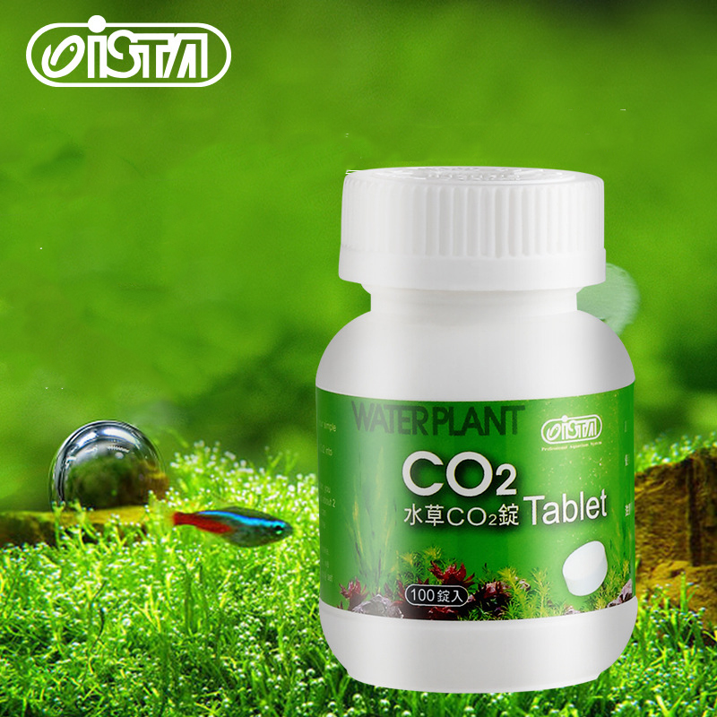 Planted Aquarium Without Co2 - ISTA su tankı akvaryum CO2 Tablet
