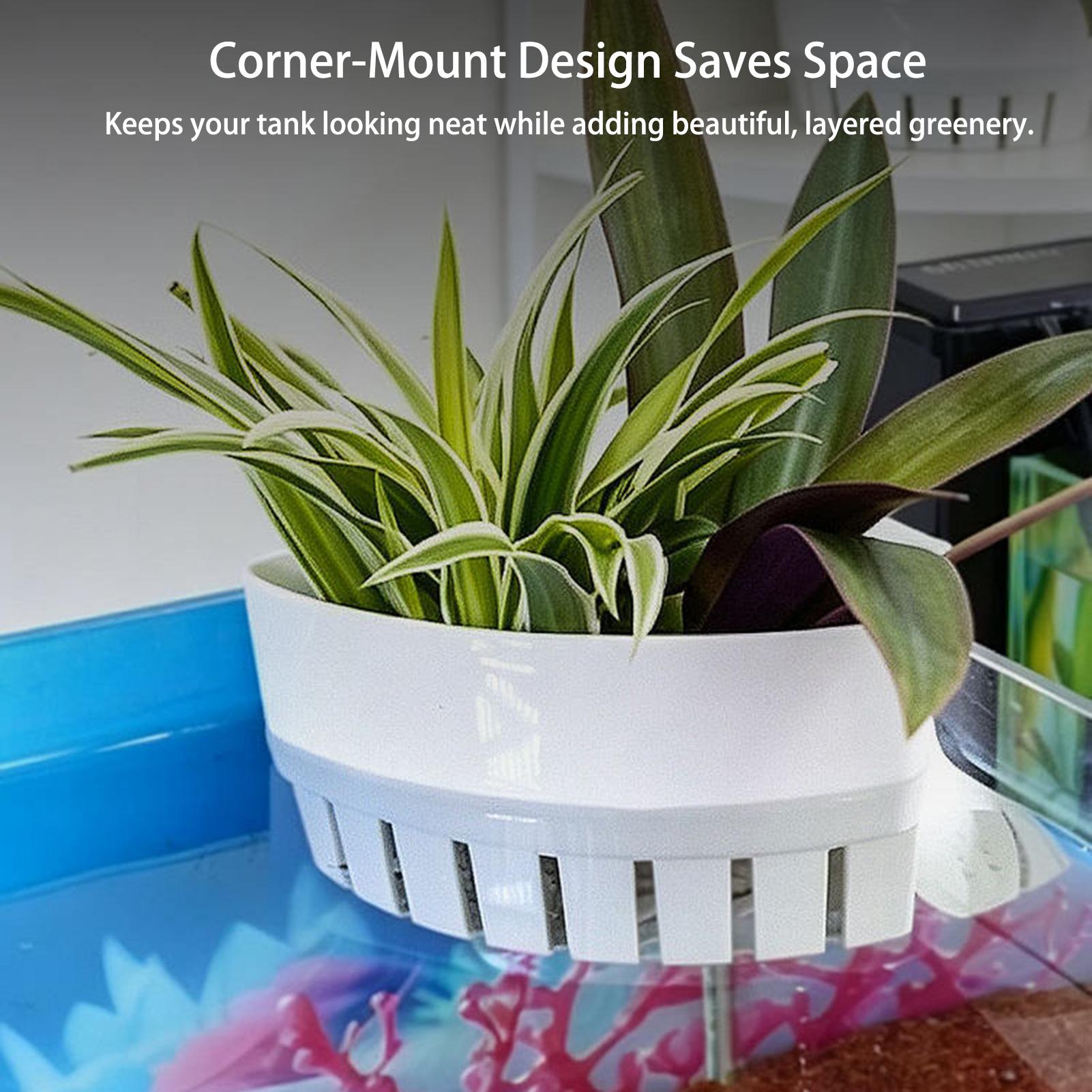 Aquarium Planted Background - Akvaryum Bitki Sepeti Hidroponik Balık Tankı