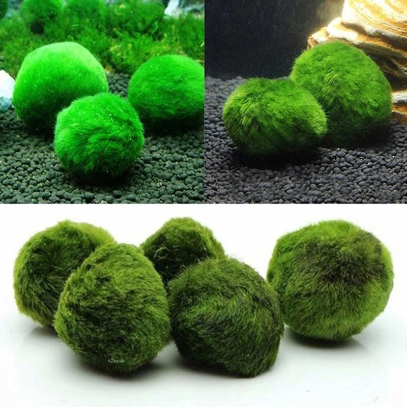 Aquarium Planted Tank Substrate - 1 adet 3-4 cm Yosun Topları