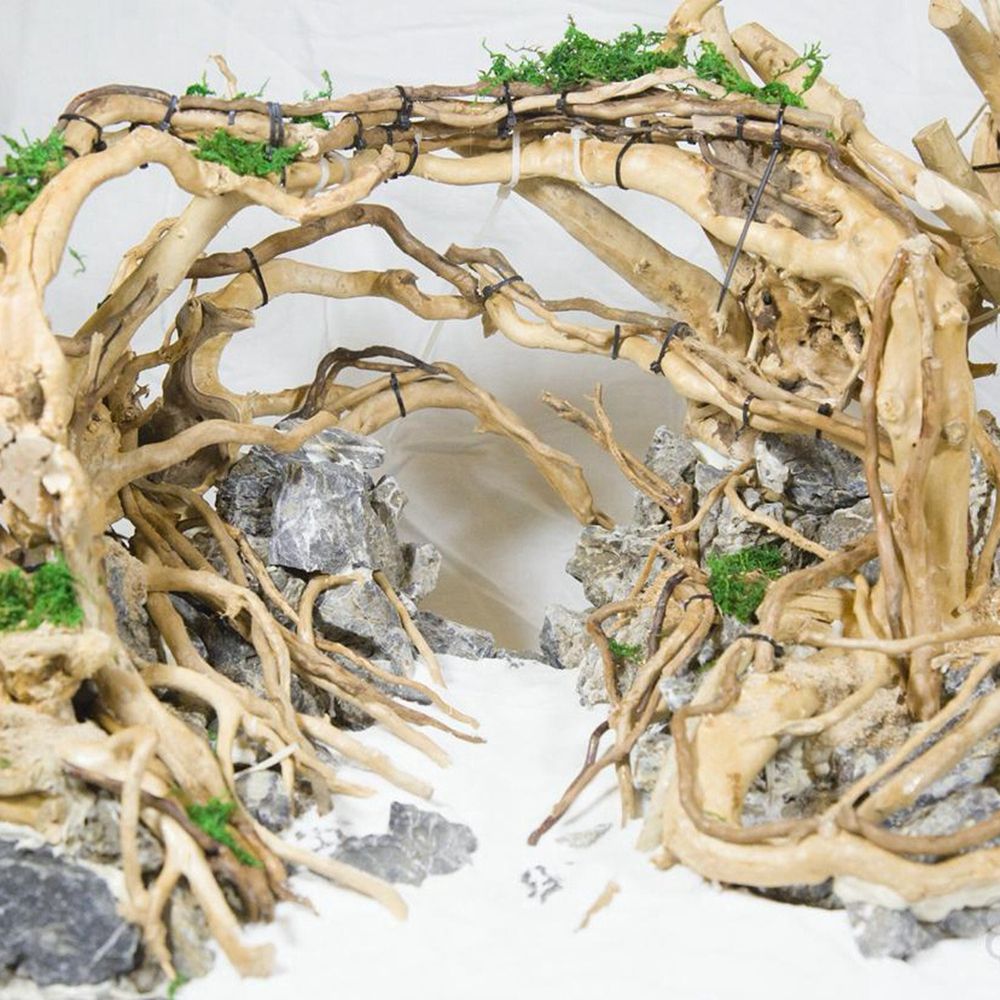Aquarium Planted Background - Ahşap N1N Sürüngen Tankı Arka Planı