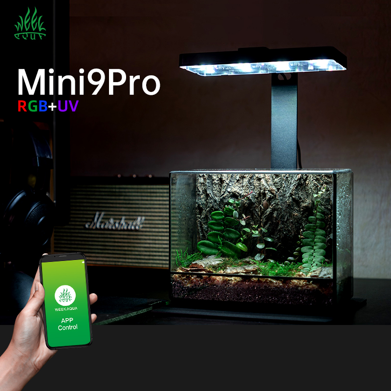 Aquarium Plants For Sale - Sıcak Fırsat Mini9pro Nano Teraryum Lambası