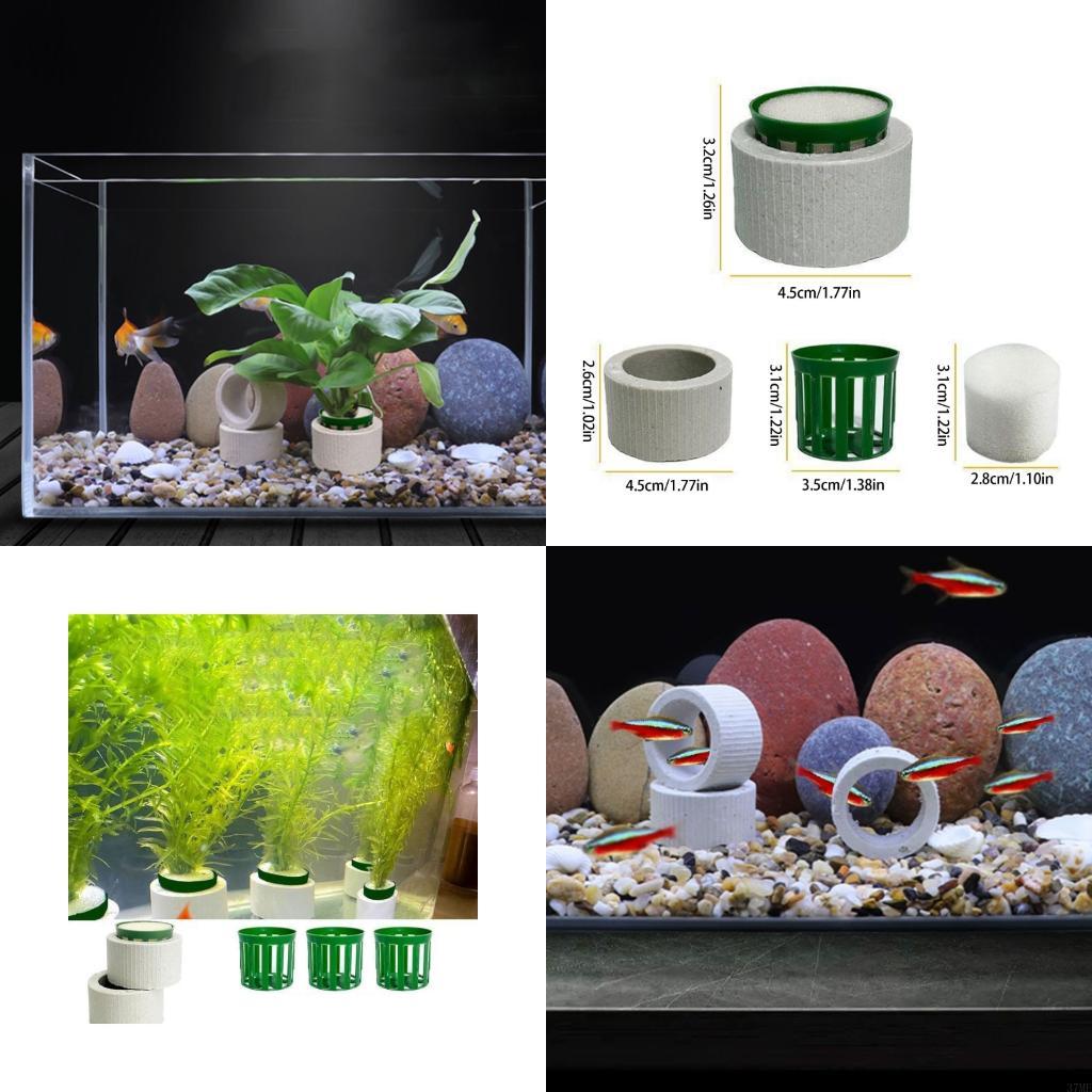 Aquarium Planted Background - 37ME 10 Adet Akvaryum Bitki Sabit