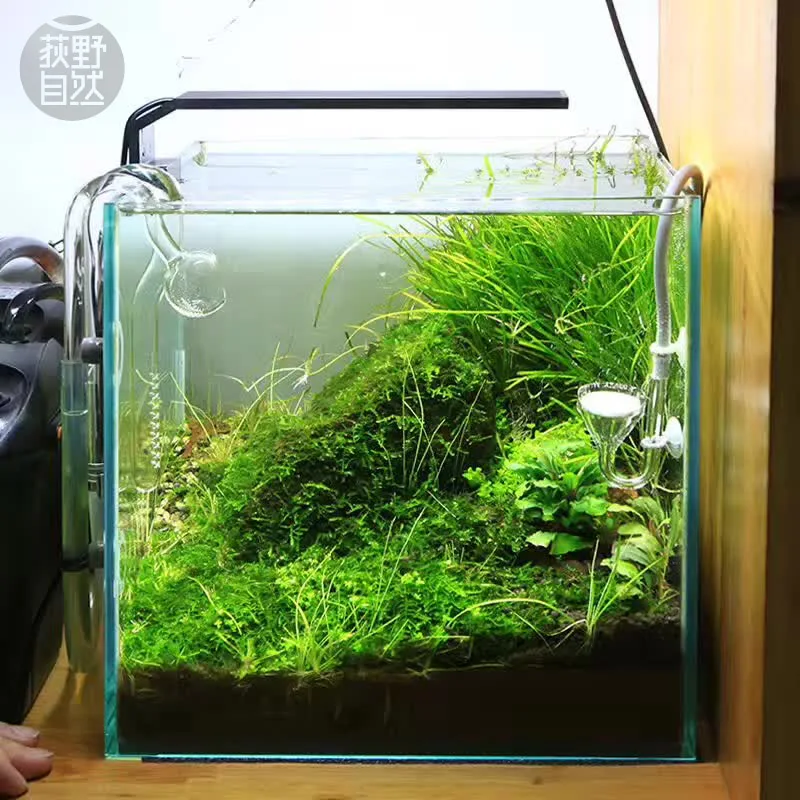 Planted Aquarium Pendant Light - Spirürler C Serisi ADA Tarzı Bitki