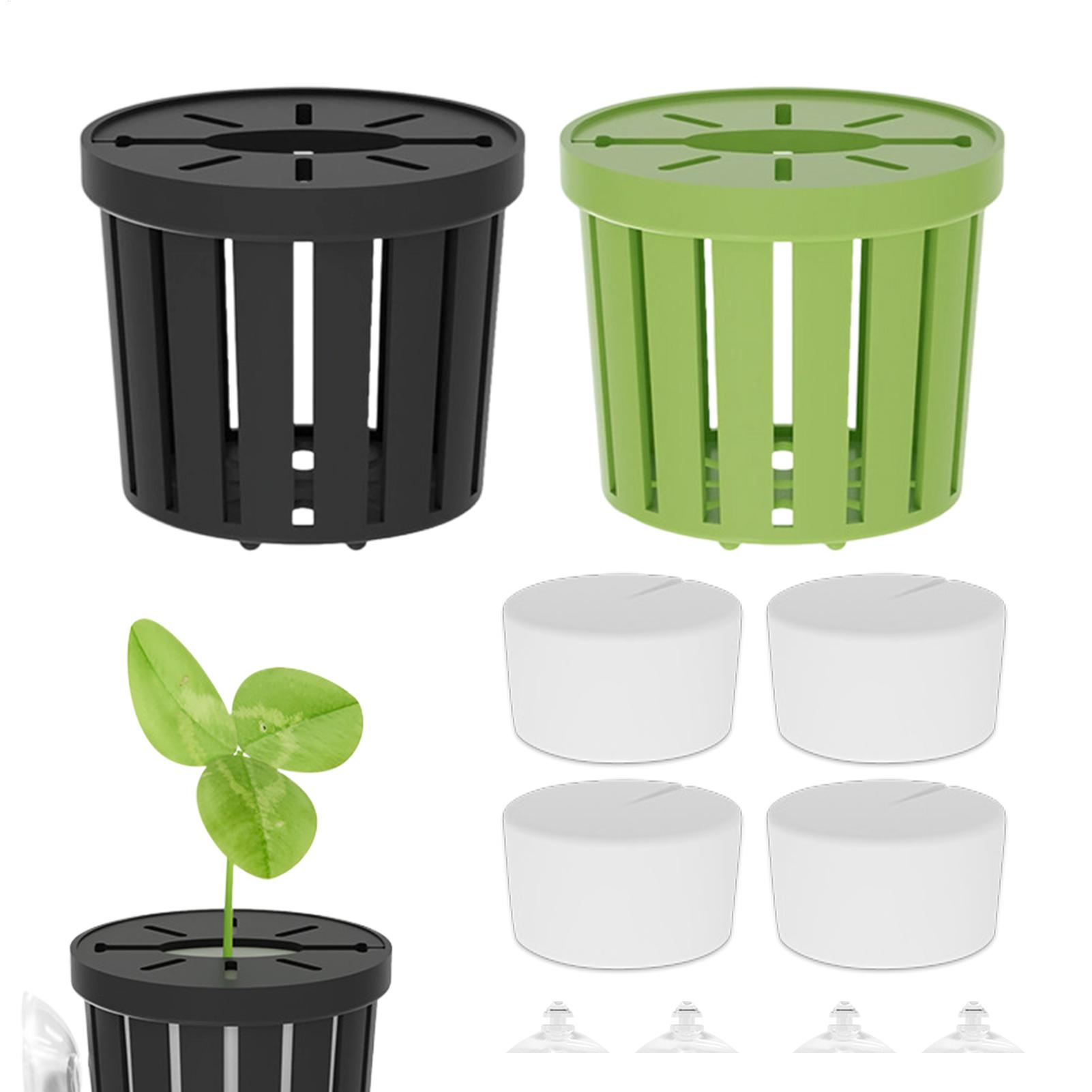 Aquarium Planted Background - 4 adet su bitkileri sabit set