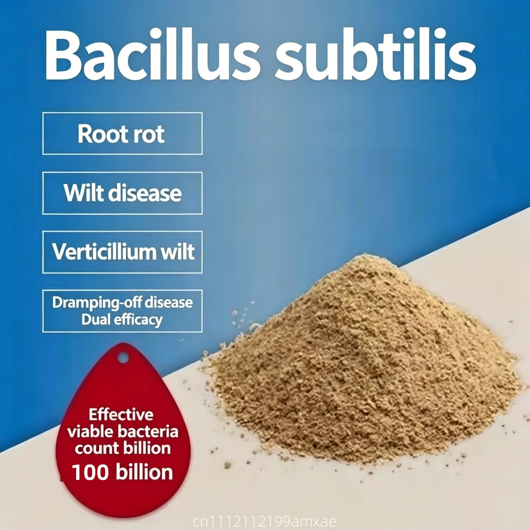 Aquarium Planted Soil - Yüksek Aktiviteli Bacillus Subtilis Tozu Organik
