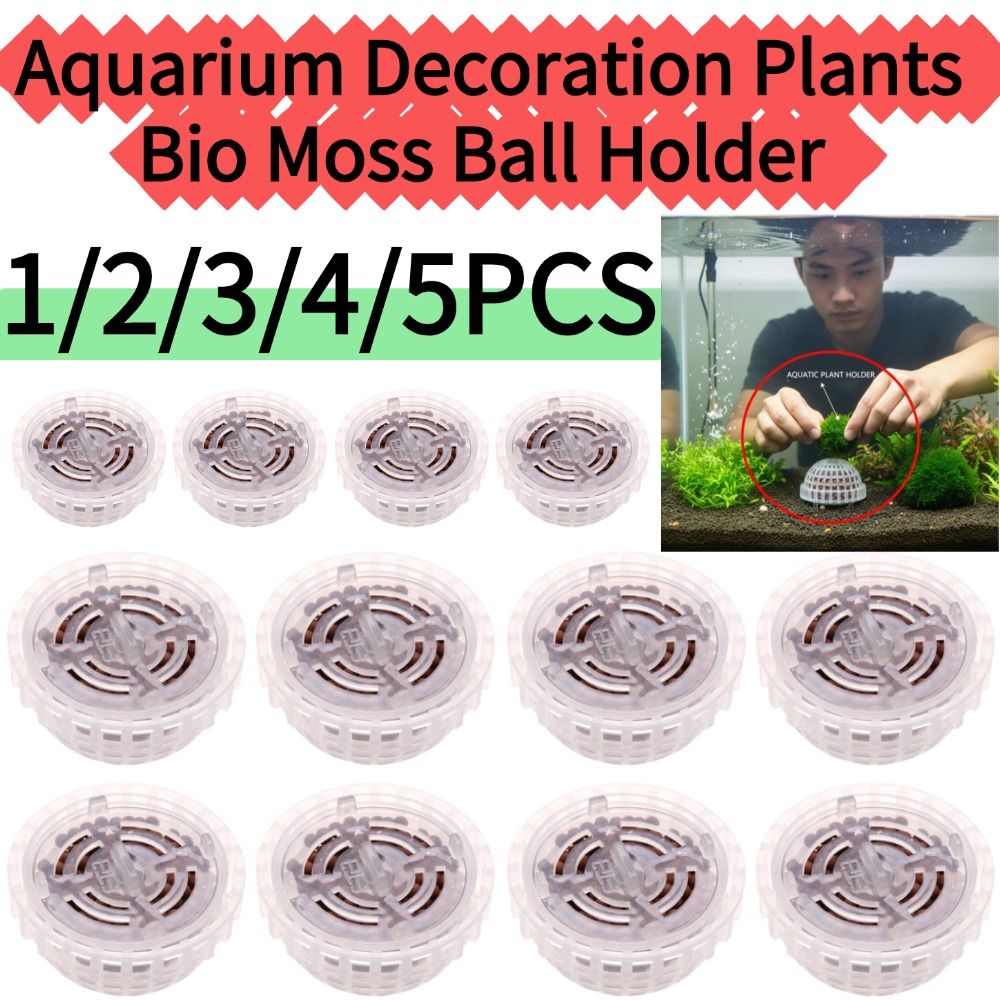 Planted Aquarium Moss - 1/2/3/4/5 adet akvaryum dekorasyon bitkileri biyo