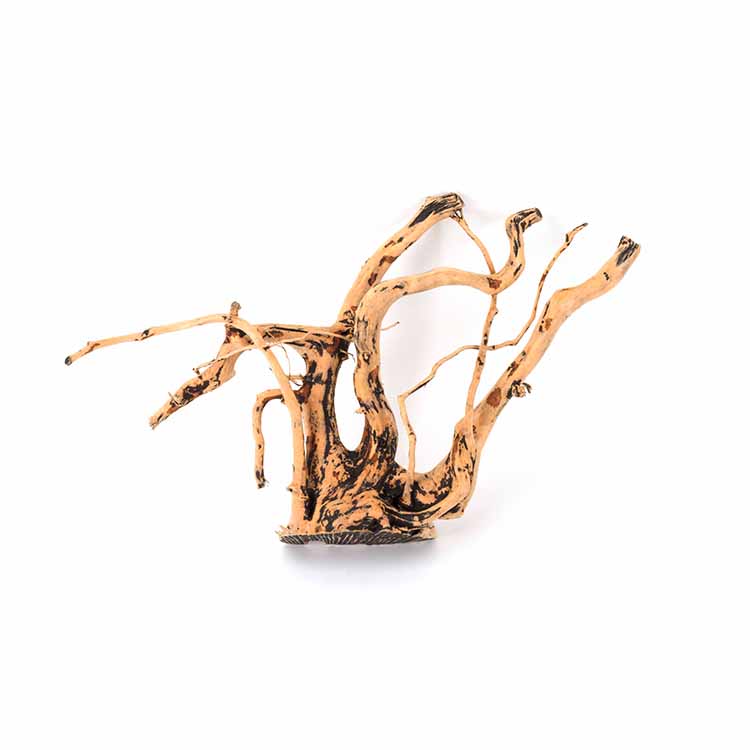 Aquarium Plants For Sale - Toptan Sıcak Satış Doğal Dekorasyonlar Akvaryum