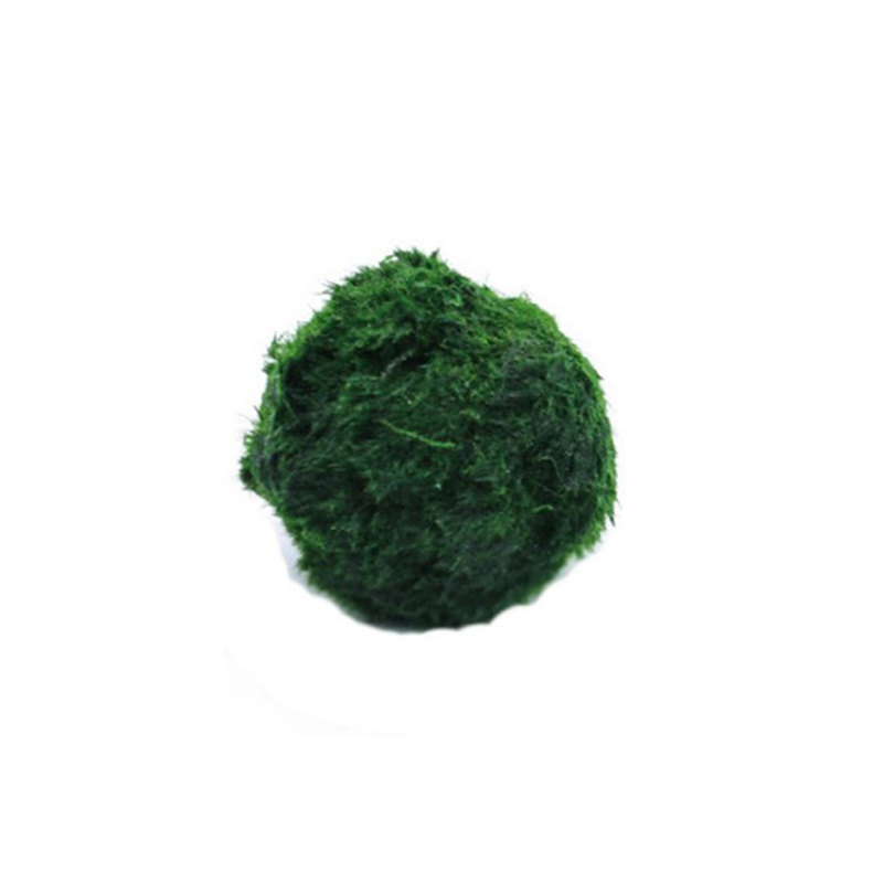 Aquarium Planted Tank Substrate - Marimo Yosun Topları Canlı Akvaryum Bitkisi