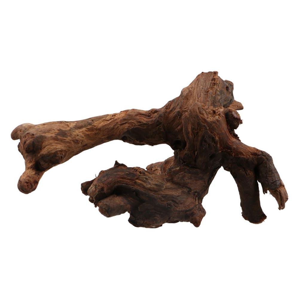 Aquarium Planted Soil - Yaratıcı Düzensiz Şekilli Mercan Ağacı Doğal