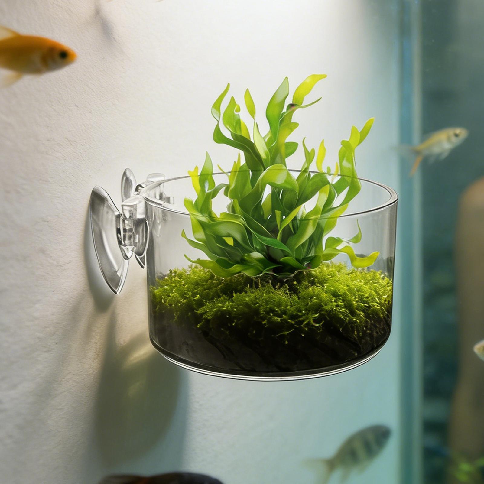 Aquarium Planted Background - Akvaryum Bitki Tutucu Akrilik Su Bitkisi