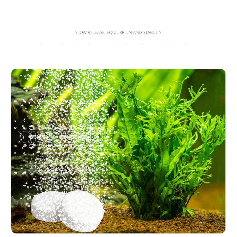 ISTA su tankı akvaryum CO2 Tab - Planted Aquarium Without Co2 incelemesi ve fiyatı
