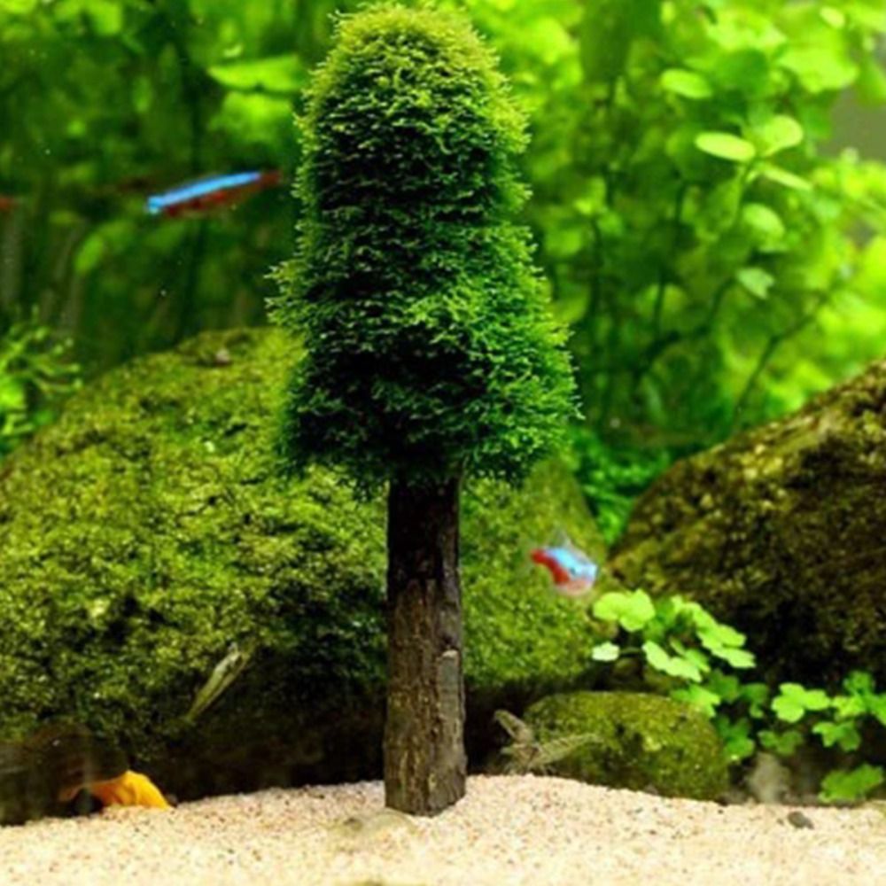 Simülasyon Noel Ağacı Akvaryum - Aquarium Planted Background incelemesi ve fiyatı
