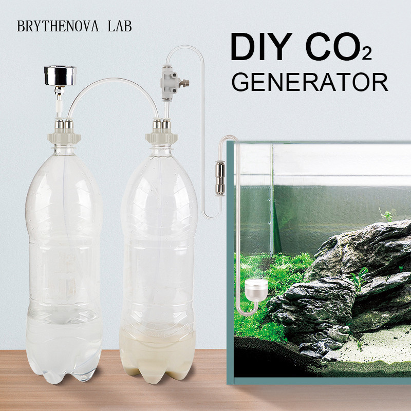 CO2 Jeneratörü Akvaryum Bitkil - Planted Aquarium Moss incelemesi ve fiyatı