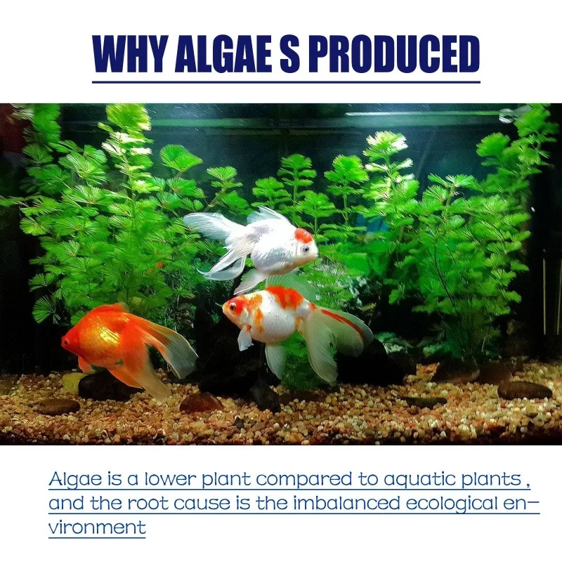 50g Yüksek Etkili Alg İlacı, A - Planted Aquarium Moss incelemesi ve fiyatı