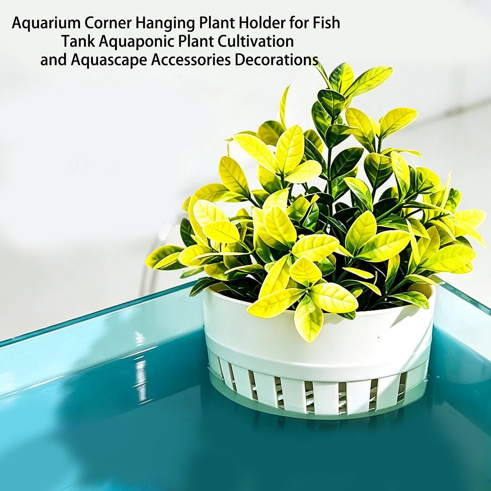Akvaryum Bitki Sepeti Hidropon - Aquarium Planted Background incelemesi ve fiyatı