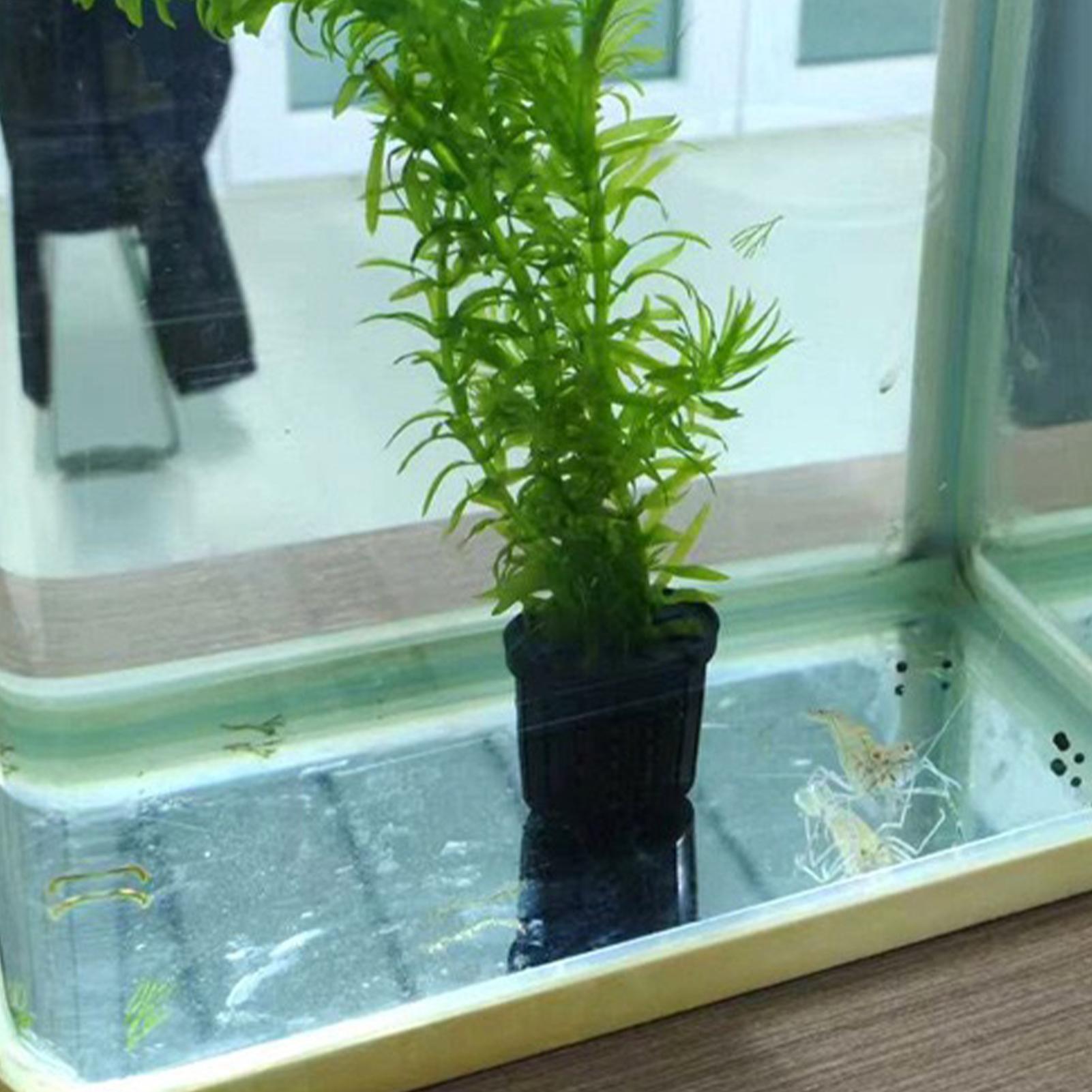 4 Parça Hidroponik Bitki Sepet - Aquarium Planted Background incelemesi ve fiyatı