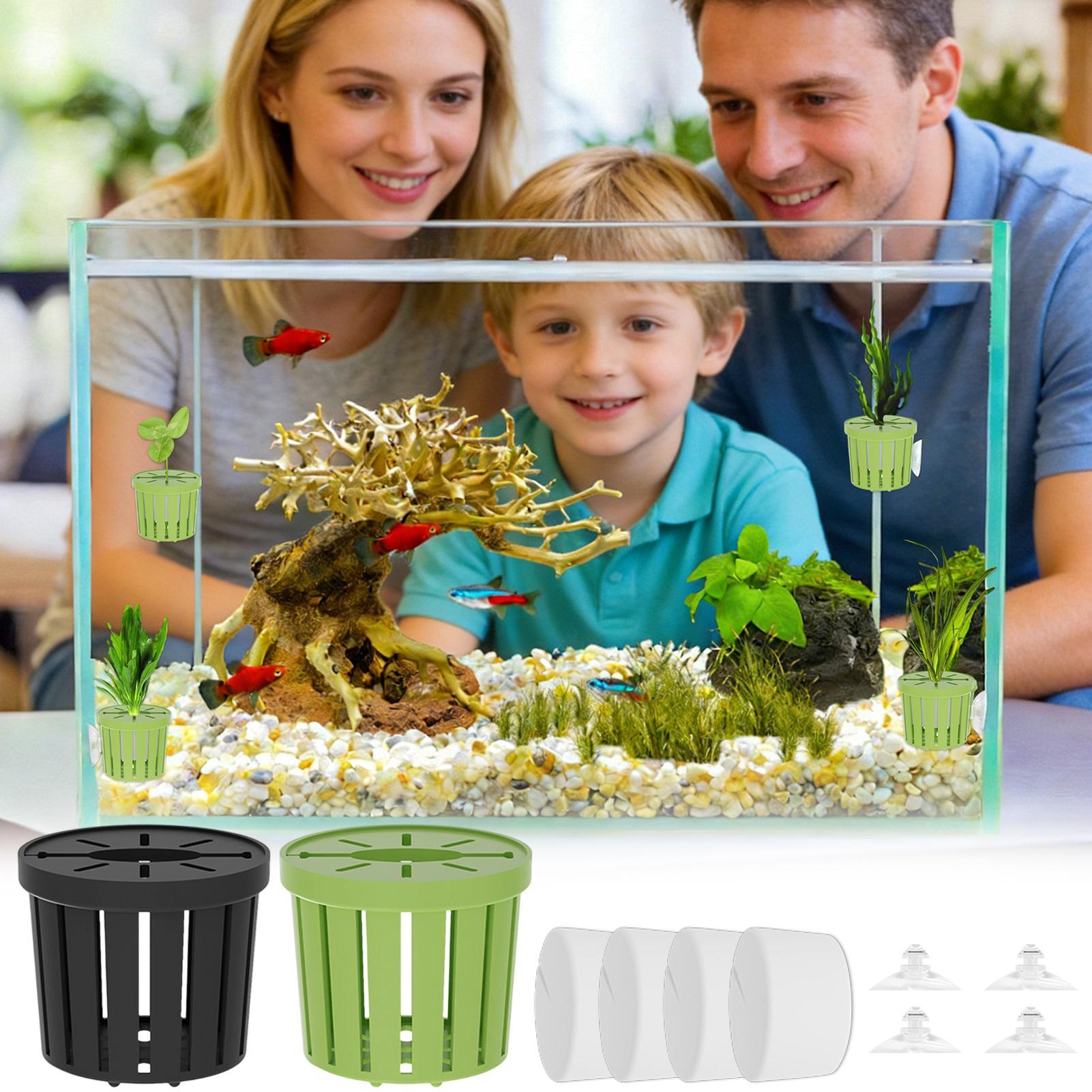 4 Parça Hidroponik Bitki Sepet - Aquarium Planted Background incelemesi ve fiyatı