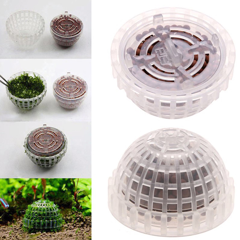 Sıcak Fırsat Su Hayvanları Mal - Aquarium Plants For Sale incelemesi ve fiyatı
