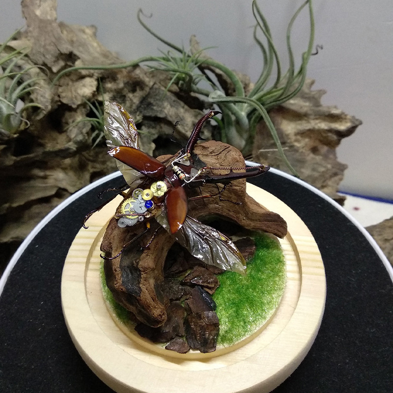 Sıcak Satış Yeni Akvaryum Deko - Aquarium Planted Soil incelemesi ve fiyatı