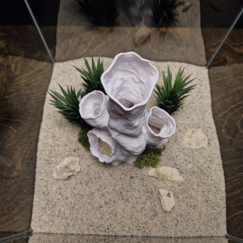Sıcak Fırsat 3D Baskılı Mercan - Aquarium Plants For Sale incelemesi ve fiyatı