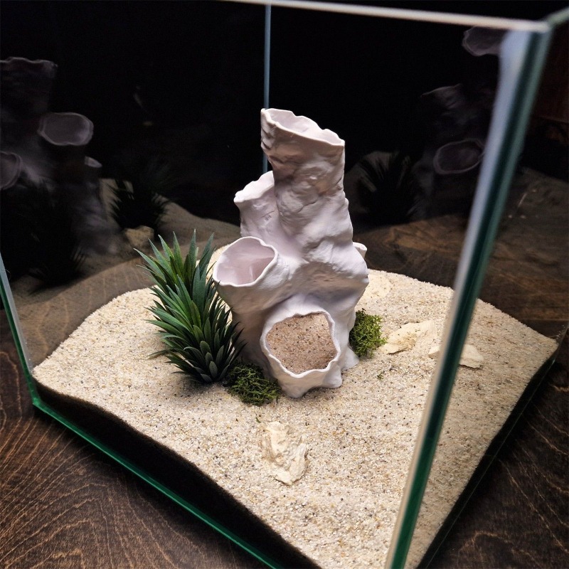 Sıcak Fırsat 3D Baskılı Mercan - Aquarium Plants For Sale incelemesi ve fiyatı