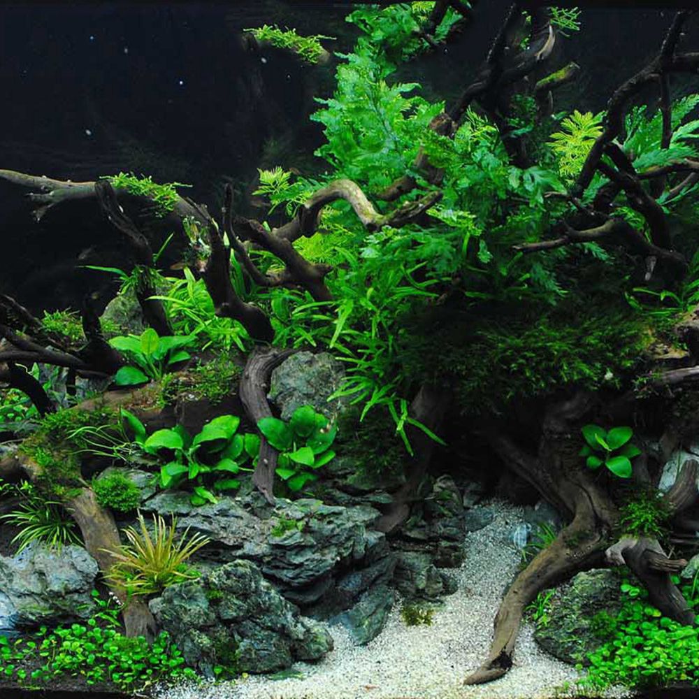 Ahşap N1N Sürüngen Tankı Arka  - Aquarium Planted Background incelemesi ve fiyatı