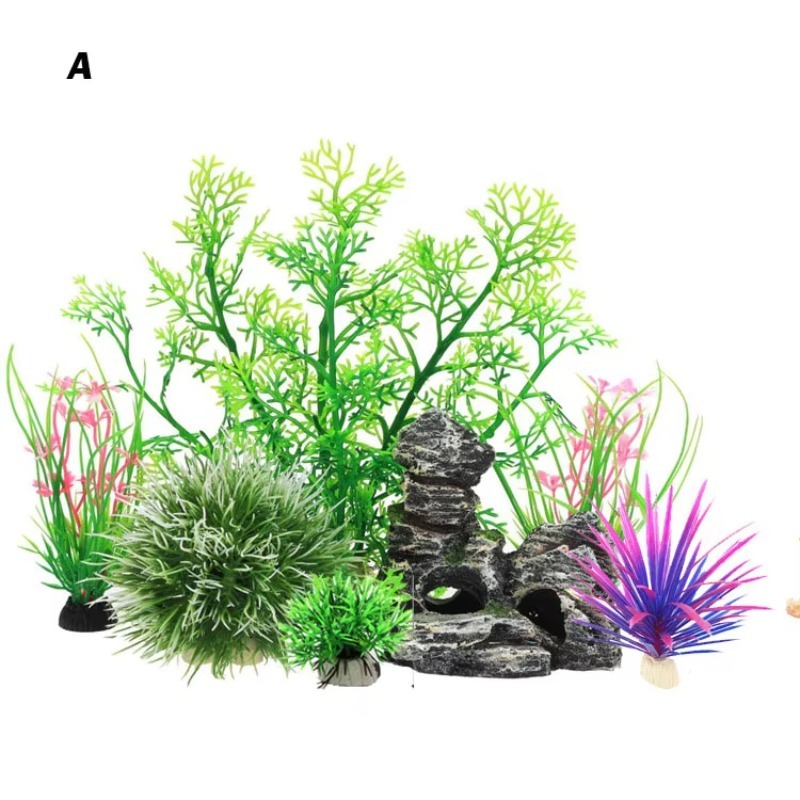 10 adet Sıcak Satış Yeni Gelen - Aquarium Plants For Sale incelemesi ve fiyatı