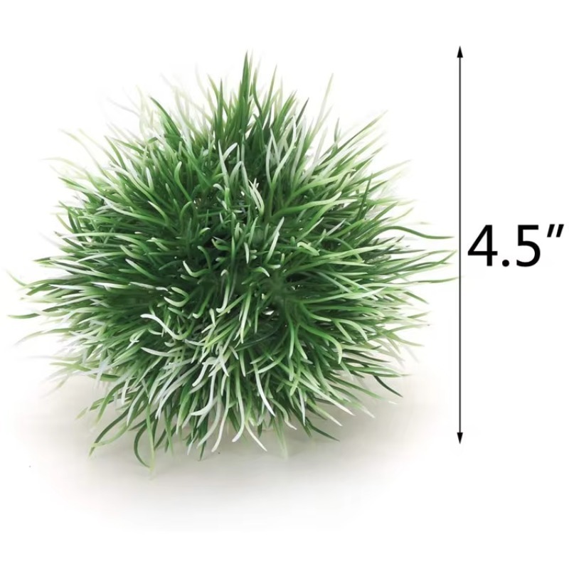 10 adet Sıcak Satış Yeni Gelen - Aquarium Plants For Sale incelemesi ve fiyatı