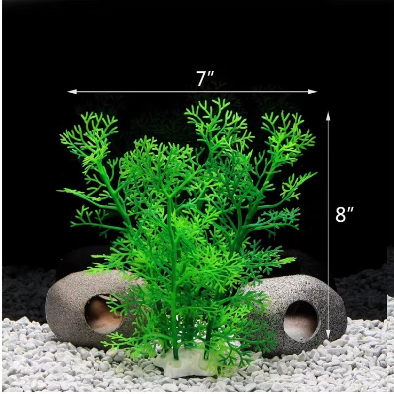 10 adet Sıcak Satış Yeni Gelen - Aquarium Plants For Sale incelemesi ve fiyatı