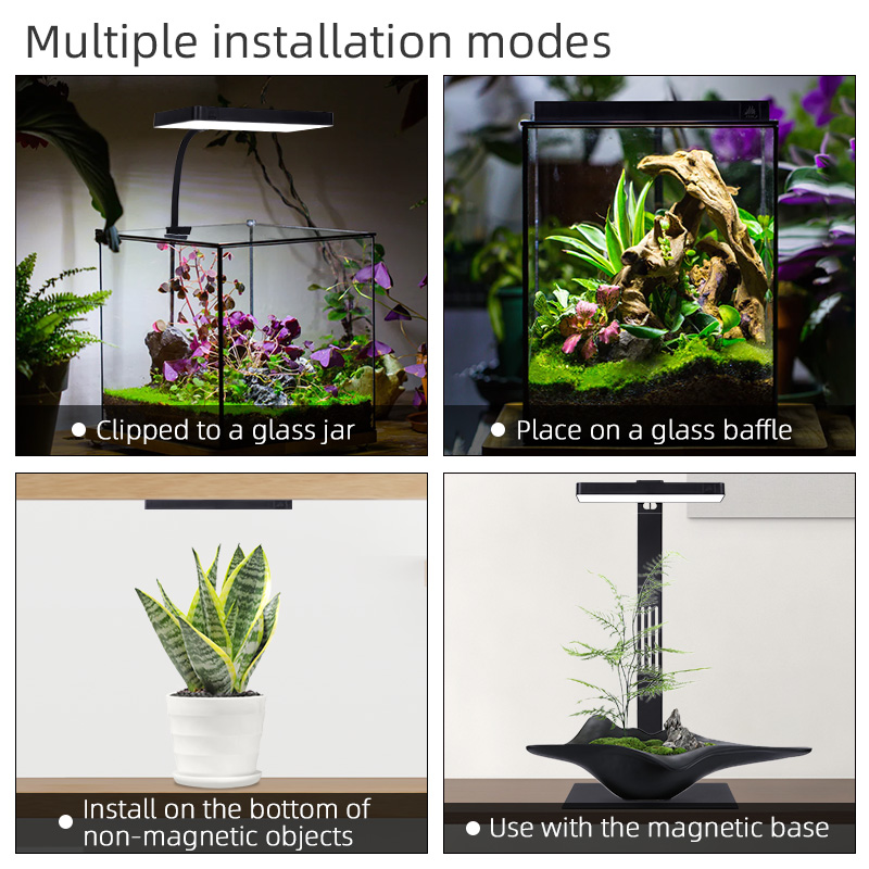 Sıcak Fırsat Mini9pro Nano Ter - Aquarium Plants For Sale incelemesi ve fiyatı