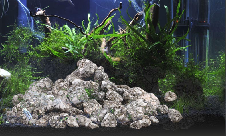 Maifan Taş Maifanite Etli Bitk - Aquarium Planted Soil incelemesi ve fiyatı