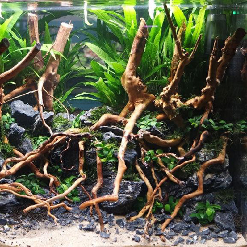 Akvaryum Mikro Peyzaj Doğal Dr - Aquarium Planted Soil incelemesi ve fiyatı