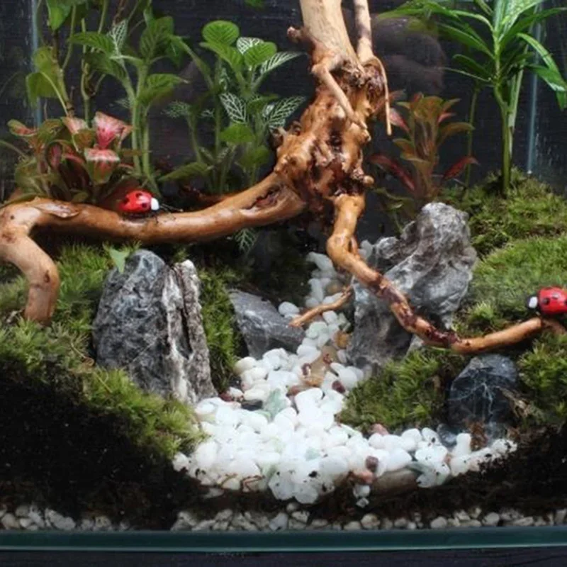 Doğal Ağaç Gövdesi Driftwood A - Aquarium Planted Soil incelemesi ve fiyatı