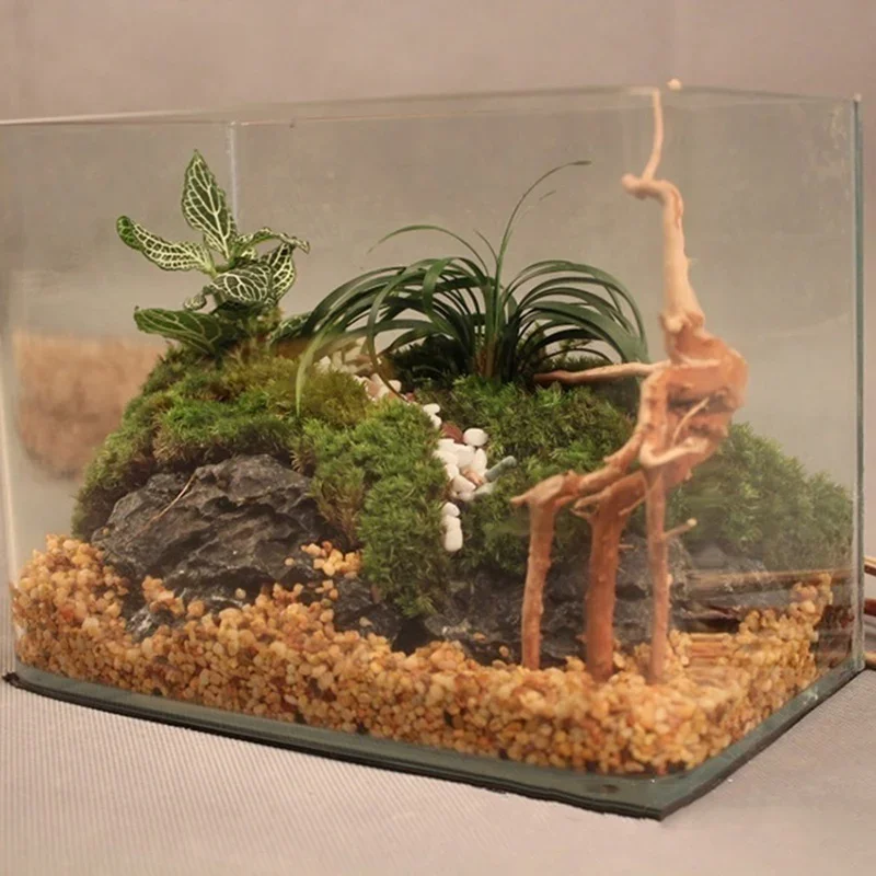 Doğal Ağaç Gövdesi Driftwood A - Aquarium Planted Soil incelemesi ve fiyatı