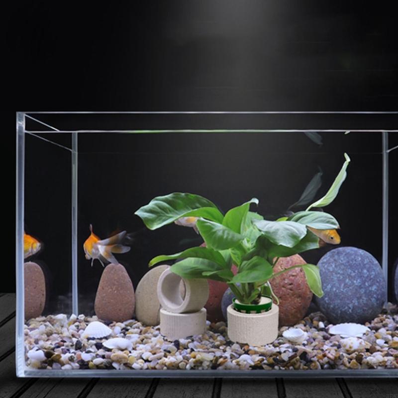37ME 10 Adet Akvaryum Bitki Sa - Aquarium Planted Background incelemesi ve fiyatı
