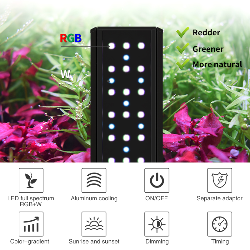 ZXY Çok Satan WEEKAQUA V400 WR - Aquarium Plants For Sale incelemesi ve fiyatı