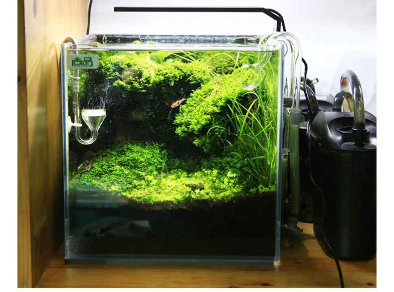 Spirürler C Serisi ADA Tarzı B - Planted Aquarium Pendant Light incelemesi ve fiyatı