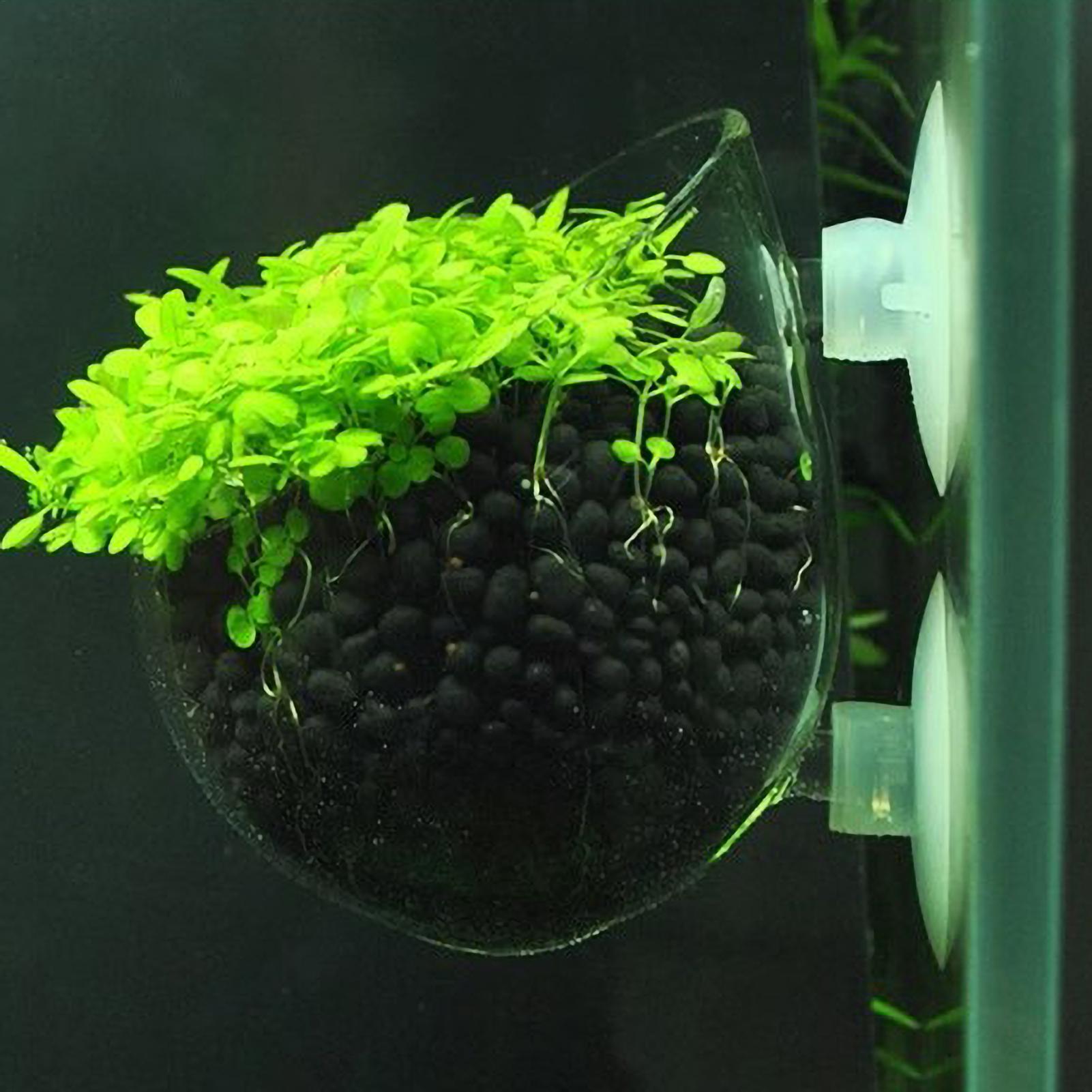 Vakumlu Bardaklı Akvaryum Cam  - Aquarium Planted Tank Substrate incelemesi ve fiyatı