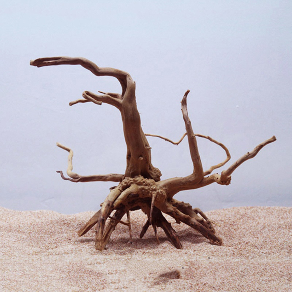 4 adet Doğal Driftwood Akvaryu - Aquarium Plants For Sale incelemesi ve fiyatı