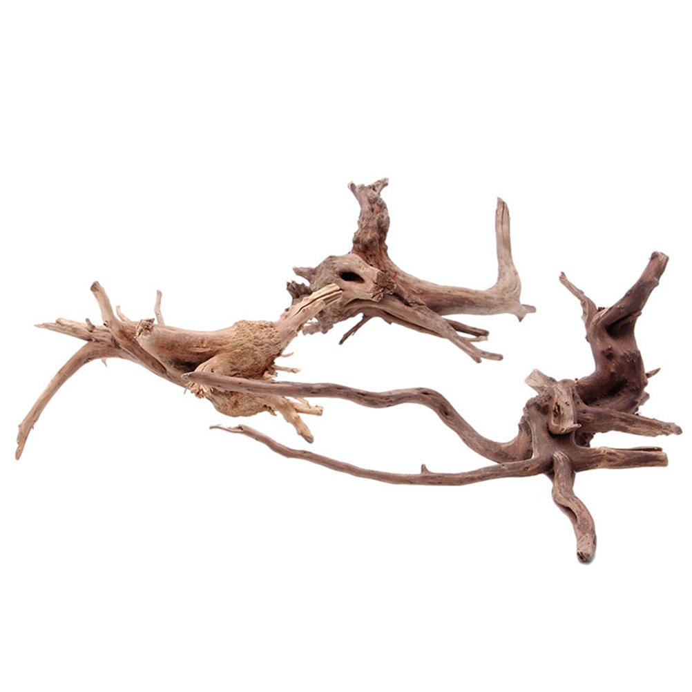 4 adet Doğal Driftwood Akvaryu - Aquarium Plants For Sale incelemesi ve fiyatı