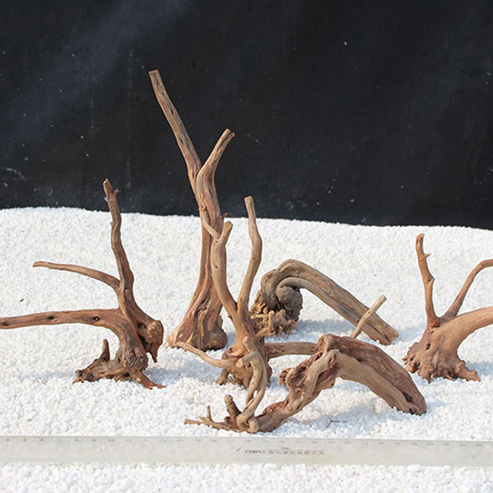 4 adet Doğal Driftwood Akvaryu - Aquarium Plants For Sale incelemesi ve fiyatı