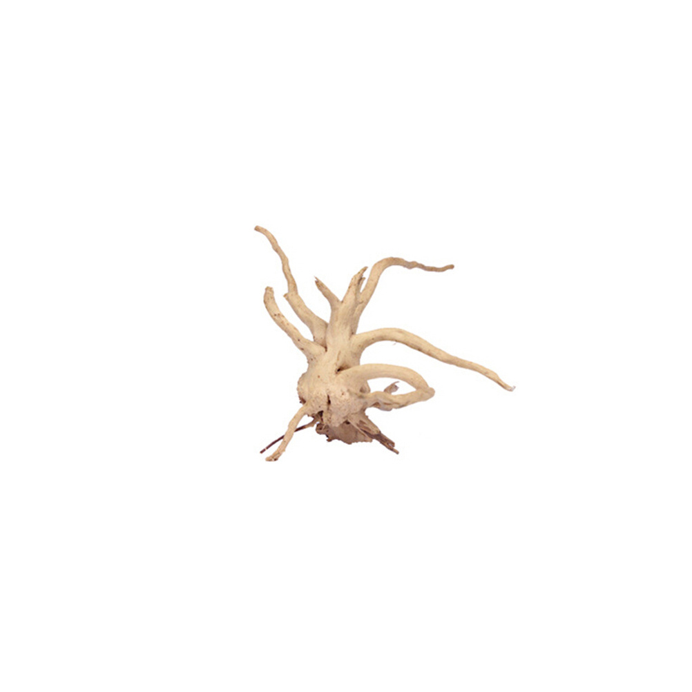4 adet Doğal Driftwood Akvaryu - Aquarium Plants For Sale incelemesi ve fiyatı