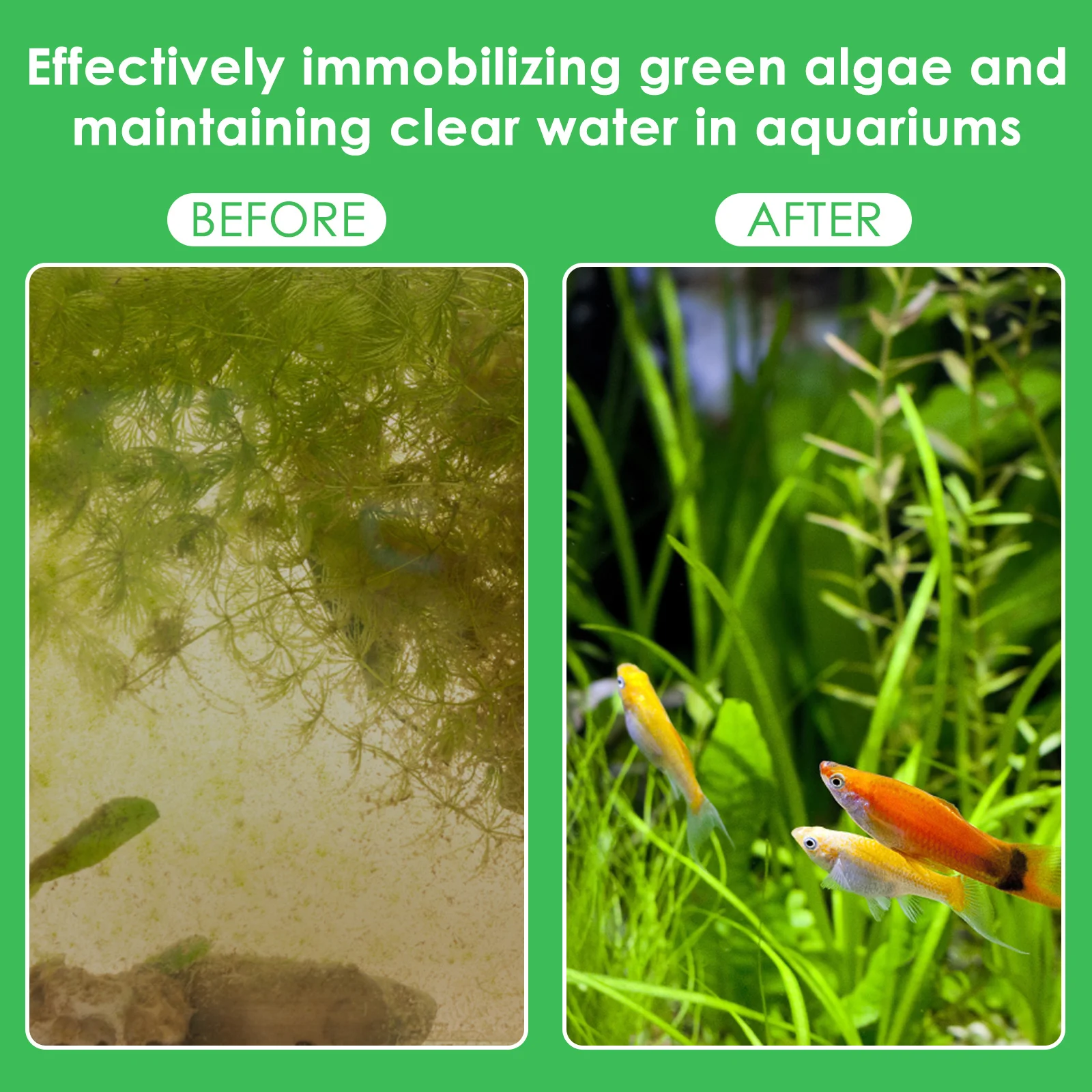 50 adet akvaryum bitki ağırlık - Aquarium Planted Tank Substrate incelemesi ve fiyatı