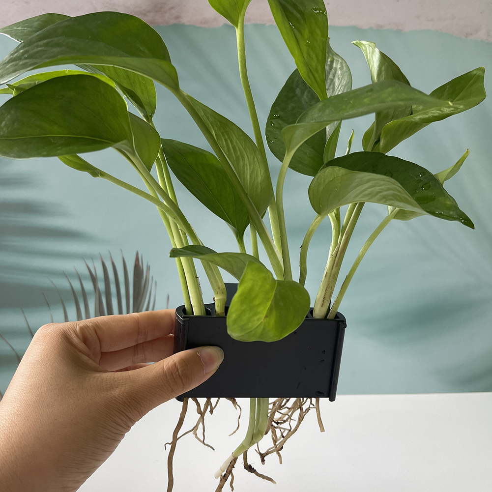 Asma Kancalı Akvaryum Bitki Tu - Aquarium Planted Tank Substrate incelemesi ve fiyatı