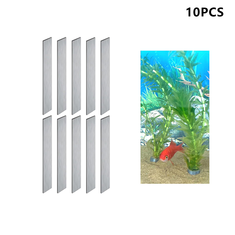 Yeni Satış 10 adet Esnek Katla - Aquarium Plants For Sale incelemesi ve fiyatı