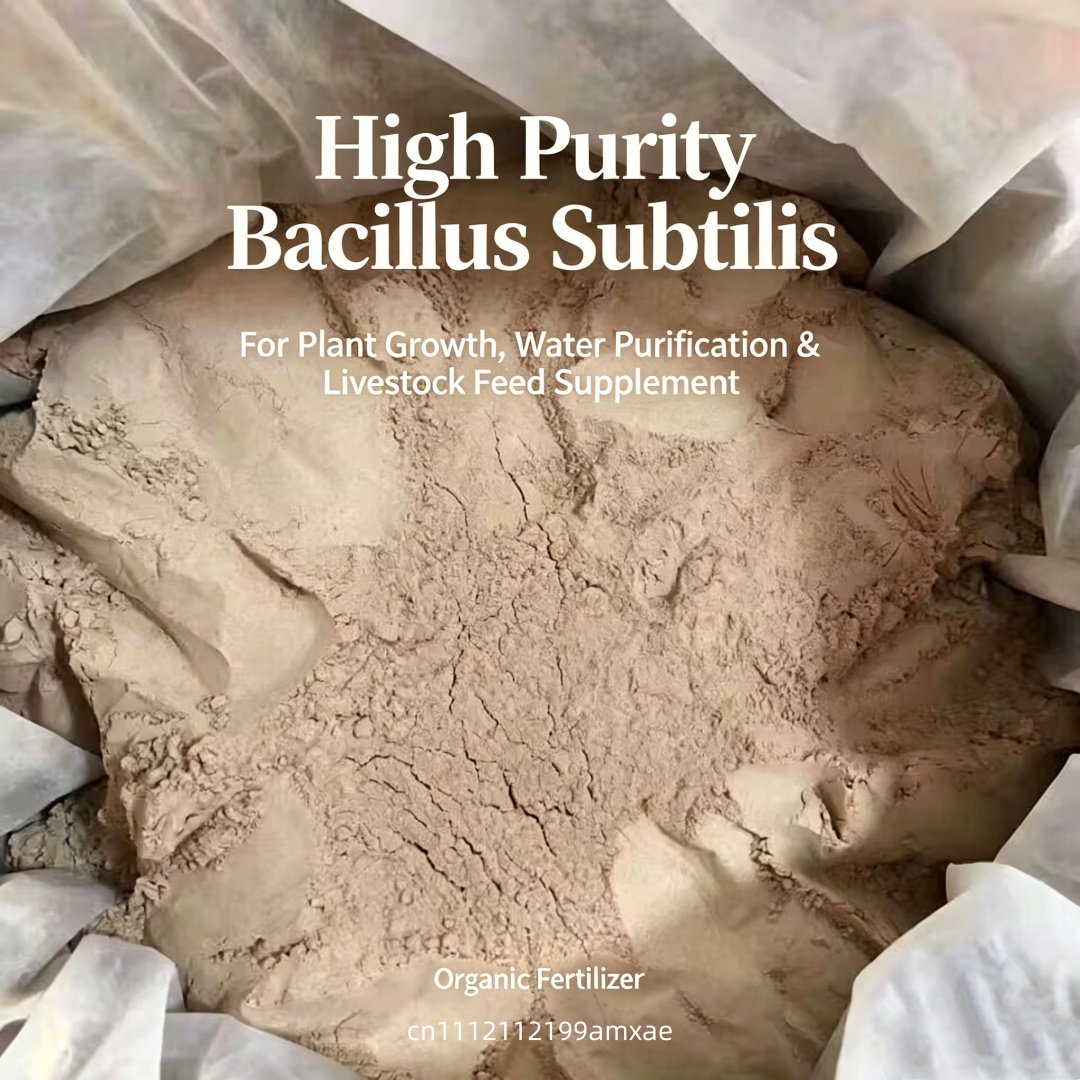 Yüksek Aktiviteli Bacillus Sub - Aquarium Planted Soil incelemesi ve fiyatı