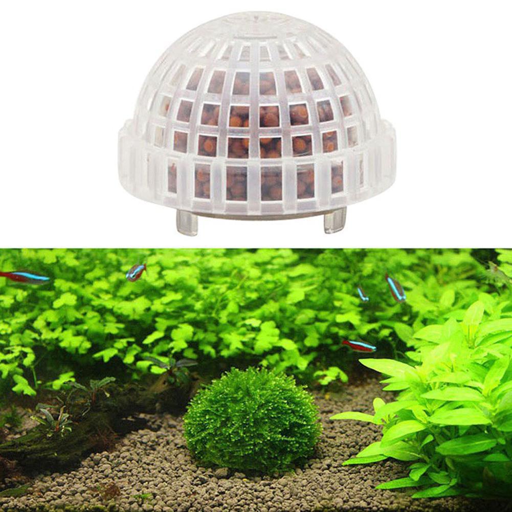 1/2/3/4/5 adet akvaryum dekora - Planted Aquarium Moss incelemesi ve fiyatı