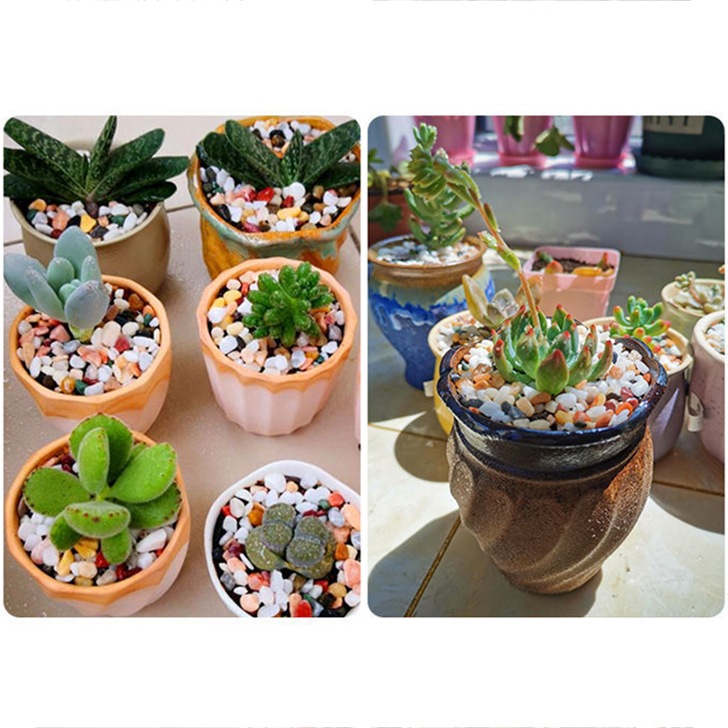 Balık Tankı Alt Kum DIY Aksesu - Aquarium Planted Soil incelemesi ve fiyatı