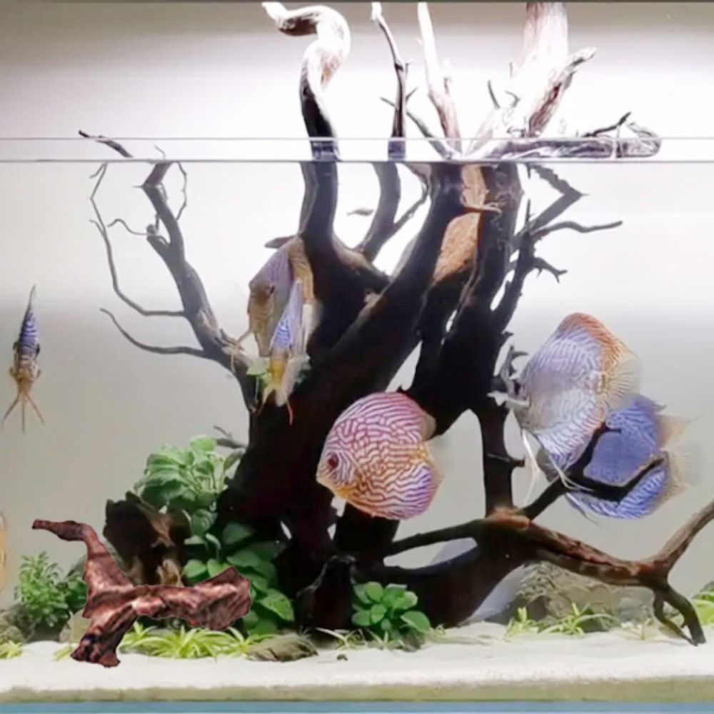 Yaratıcı Düzensiz Şekilli Merc - Aquarium Planted Soil incelemesi ve fiyatı