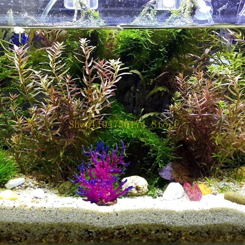 Yapay Ağaç Dekoratif Bitki Ren - Aquarium Plants For Sale incelemesi ve fiyatı